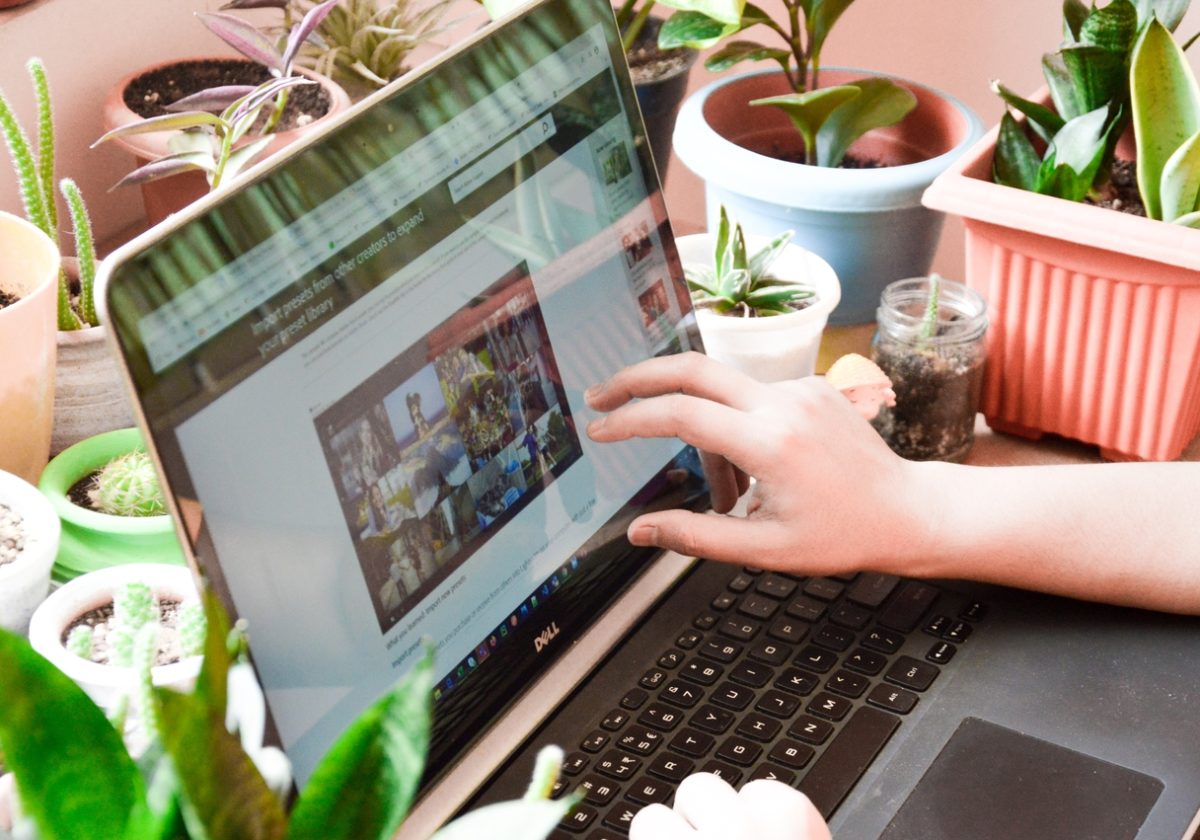 plataforma cursos online