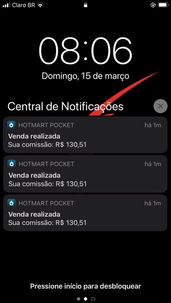 print de tela de celular com resultados de vendas na plataforma hotmart