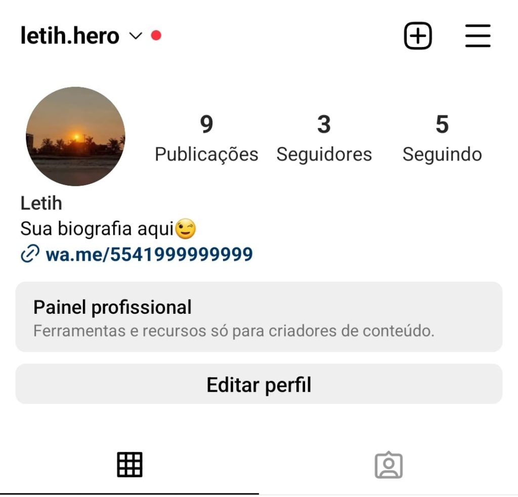 Como colocar o whatsapp no instagram passo a passo 