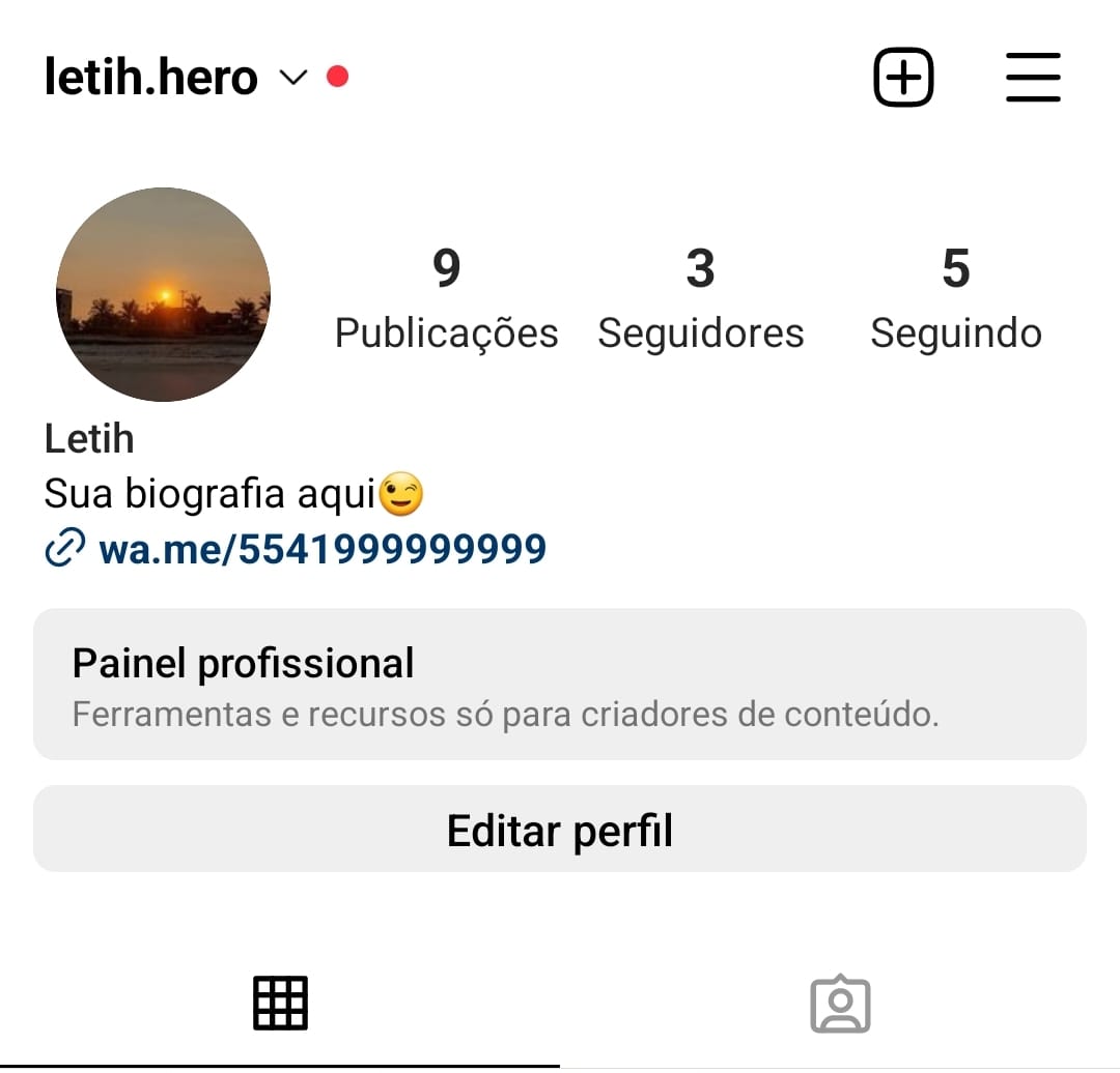 Como Adicionar um Link do WhatsApp na Bio do Instagram